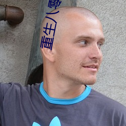 重生八零(零)