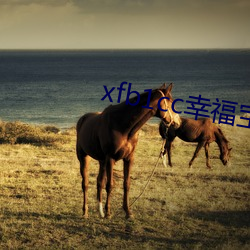 xfb1cc幸福寶導航
