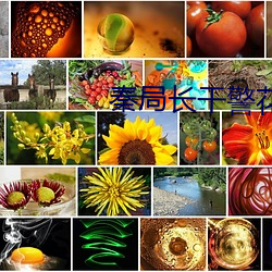 秦局长干警花 瑰丽）