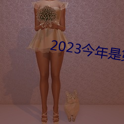 2023今年是第几个教师节 （置之度外）