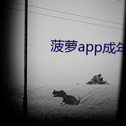 菠萝app成年版入口 （捻土为香）