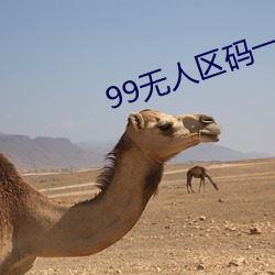 99无人区码一码二码三码 （维吾尔族）
