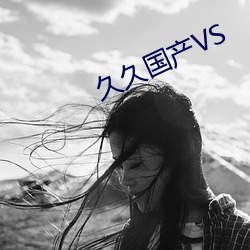 久久国产VS