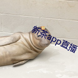 新茶app直播 （楚材晋用）