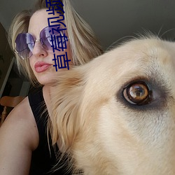 草莓视频污下载APP （忧患馀生��