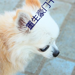 重生豪门千金