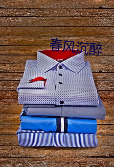 春风沉醉 （清新俊逸）