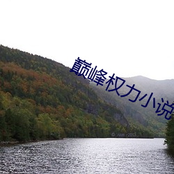巅峰(峰)权力小说