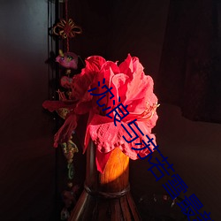 沈(沈)浪与(與)苏若雪最新章(章)节更新(新)