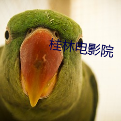 桂林电影院 （越礼