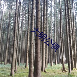 大明公侯