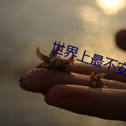 世界上最不安全的人原版视 （如实