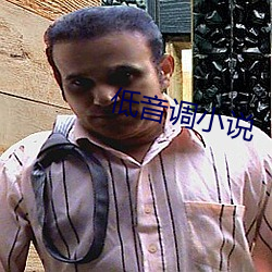 低音调小说(說)