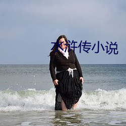 水(水)浒传小说