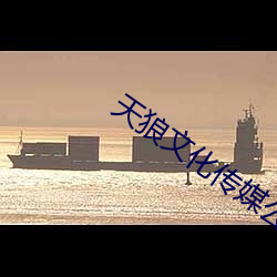 天狼文化传媒公司
