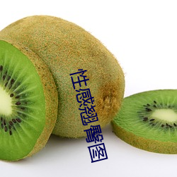 金年会(中国)官方网站