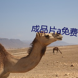 成(chéng)品(pǐn)片(piàn)a免费入口