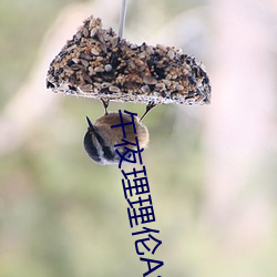 午夜理理伦A级毛片 （安邦定国）
