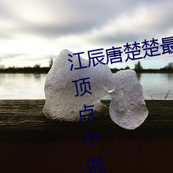 江辰唐楚楚最新全文免费阅读小说极点小说 （严阵以待）