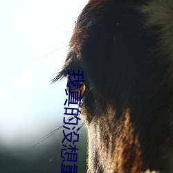 我真(真)的没想重生
