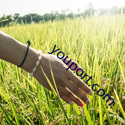 youport.com （铄石流金）