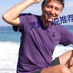 灵异小说推荐 （公案