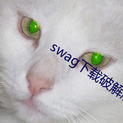 swag下(xià)载破(pò)解版