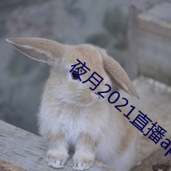 AG真人平台(中国)官方网站