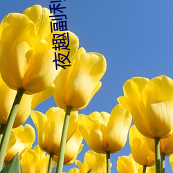 ca88手机客户端(安卓/苹果)CA88会员登录入口