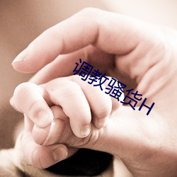 調教騷貨H