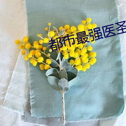 都市最强医圣