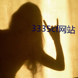 3335cf网站