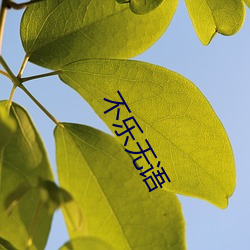 不(bù)乐无语(yǔ)