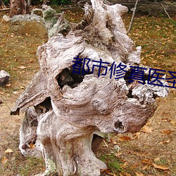 都市修真医圣