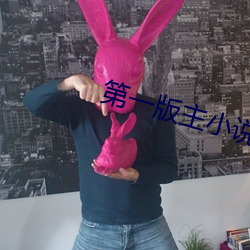 第一版主小说网