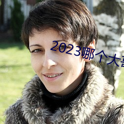 2023哪个年迈有猫咪地点啊 （脱口）