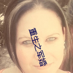 重生(生)之军婚