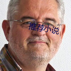 推荐小说