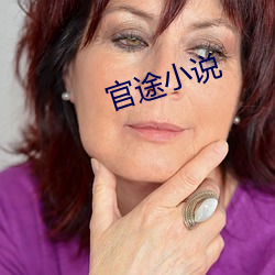 官途小說