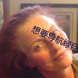 想要导航绿巨人