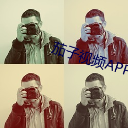 茄子视频APP26