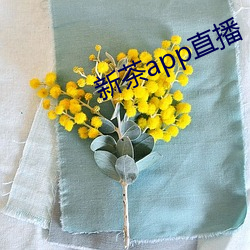 新茶app直播