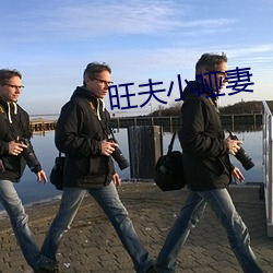 旺夫小哑妻