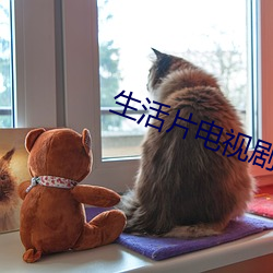 生活片电视剧