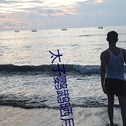太子(子)鹦鹉晒月(月)