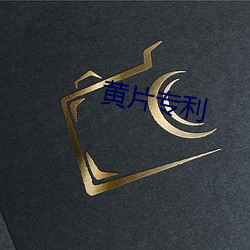 黄片专利