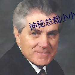 神秘總裁小小妻