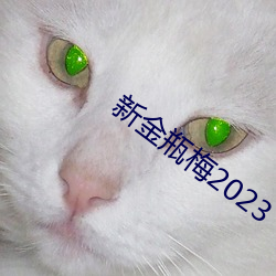 新金瓶(瓶)梅(梅)2023