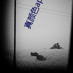 真颜色app下载