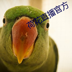 荷(荷)花直播官方